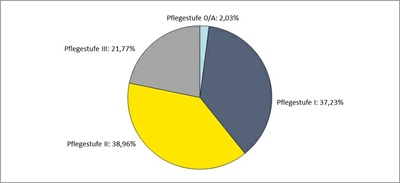 Abb02 Diagramm zur prozentualen Aufteilung der Pflegestufen