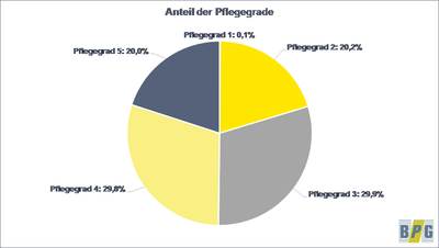 Anteil der Pflegegrade