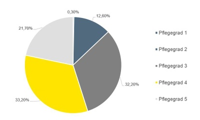 Pflegeleistungsstruktur2021
