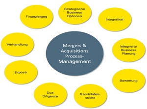 Prozessmanagement bei Mergers & Acquisitions