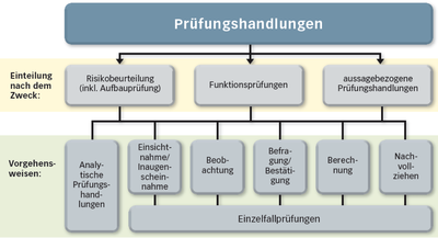 individuelles Prüfungsprogramm